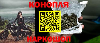 эйфоретик Ставрополь