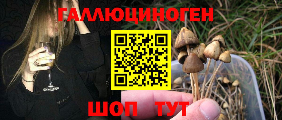 Галлюциногенные грибы Psilocybine cubensis  Вход с VPN  Боровичи 